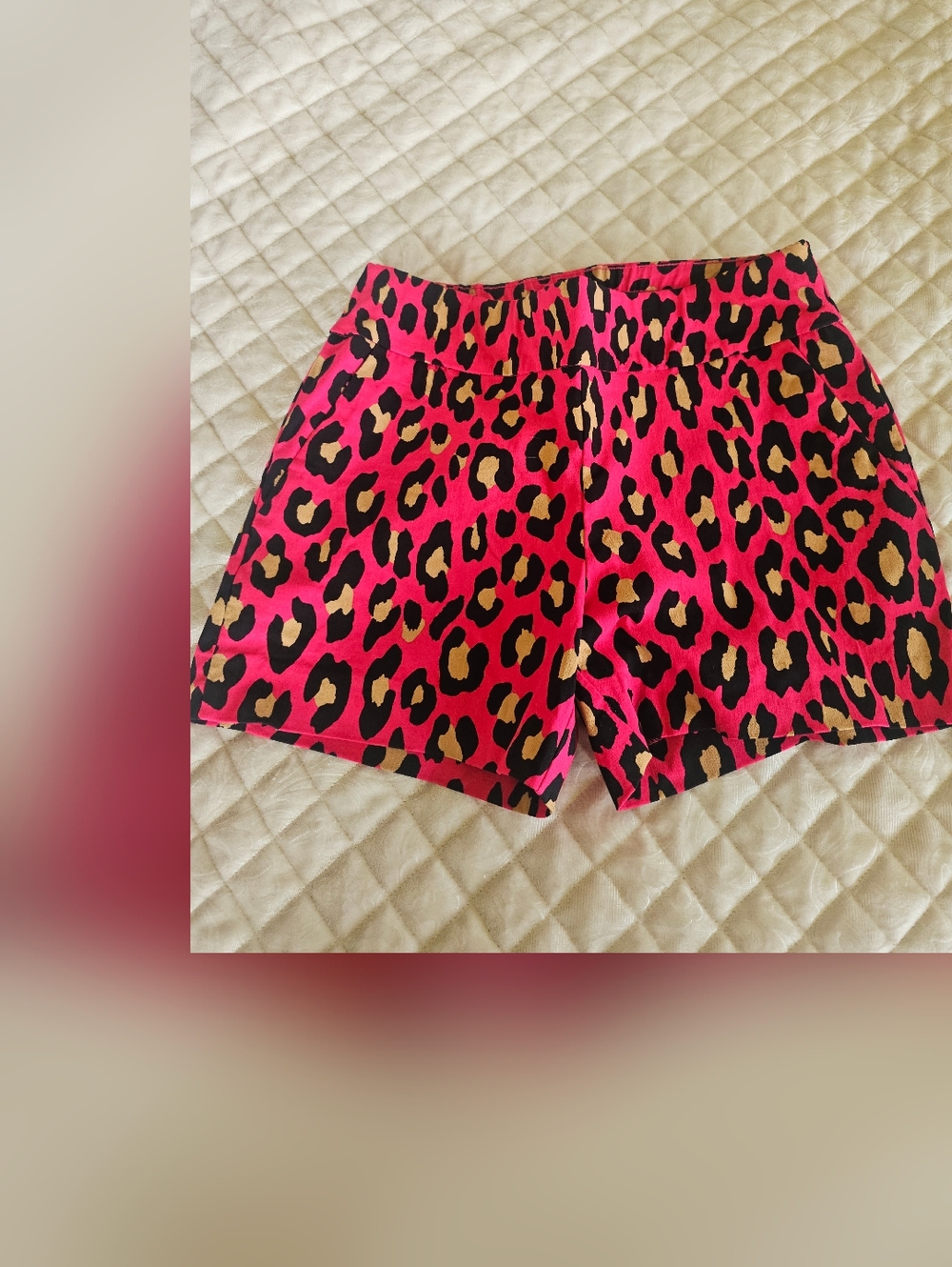 New York & Company Whitney Bright Pink Leopard Print Women's Shorts